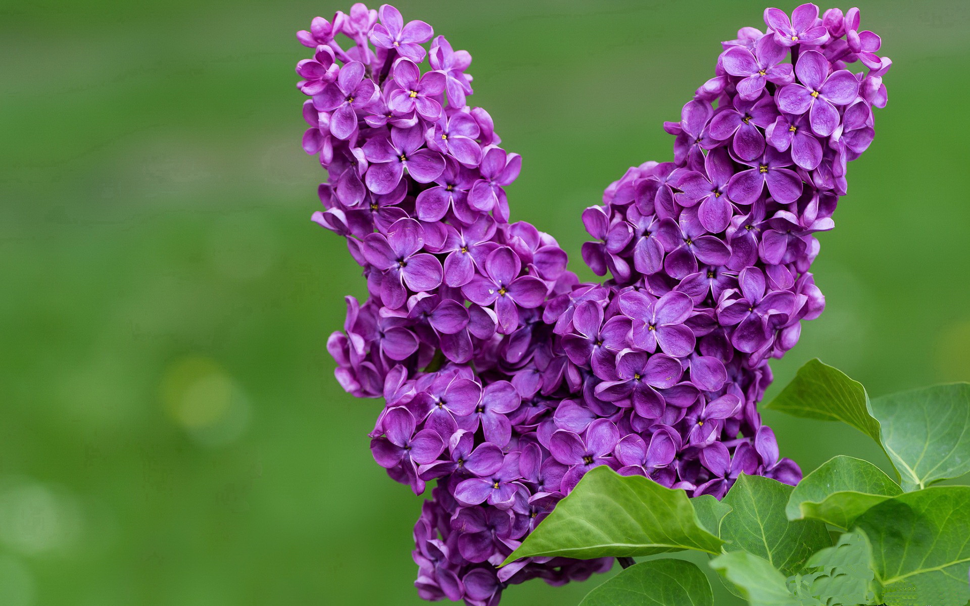 爱游戏官网-炉石传说 线上锦标赛完美收官，炉石传说赛事