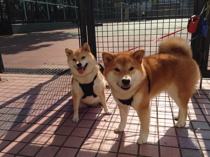 潜力新星:那些未来可能成为“超级巨星”的新人们,潜力新秀什么意思