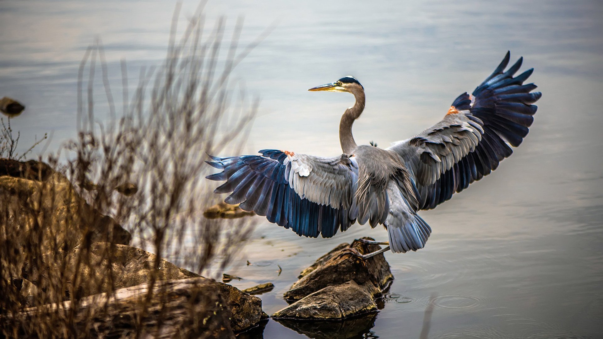 特色海滩散步节,感受海风中的悠闲运动,海边散步唯美视频