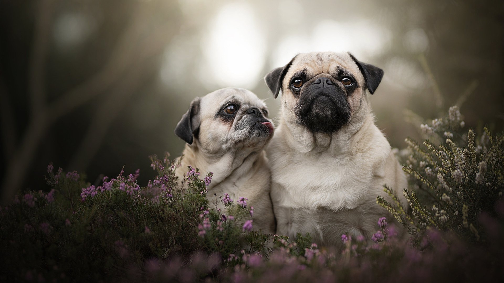 AIYOUXI.COM-女足比赛对手强劲，球队备战以应对，女足阵容问题