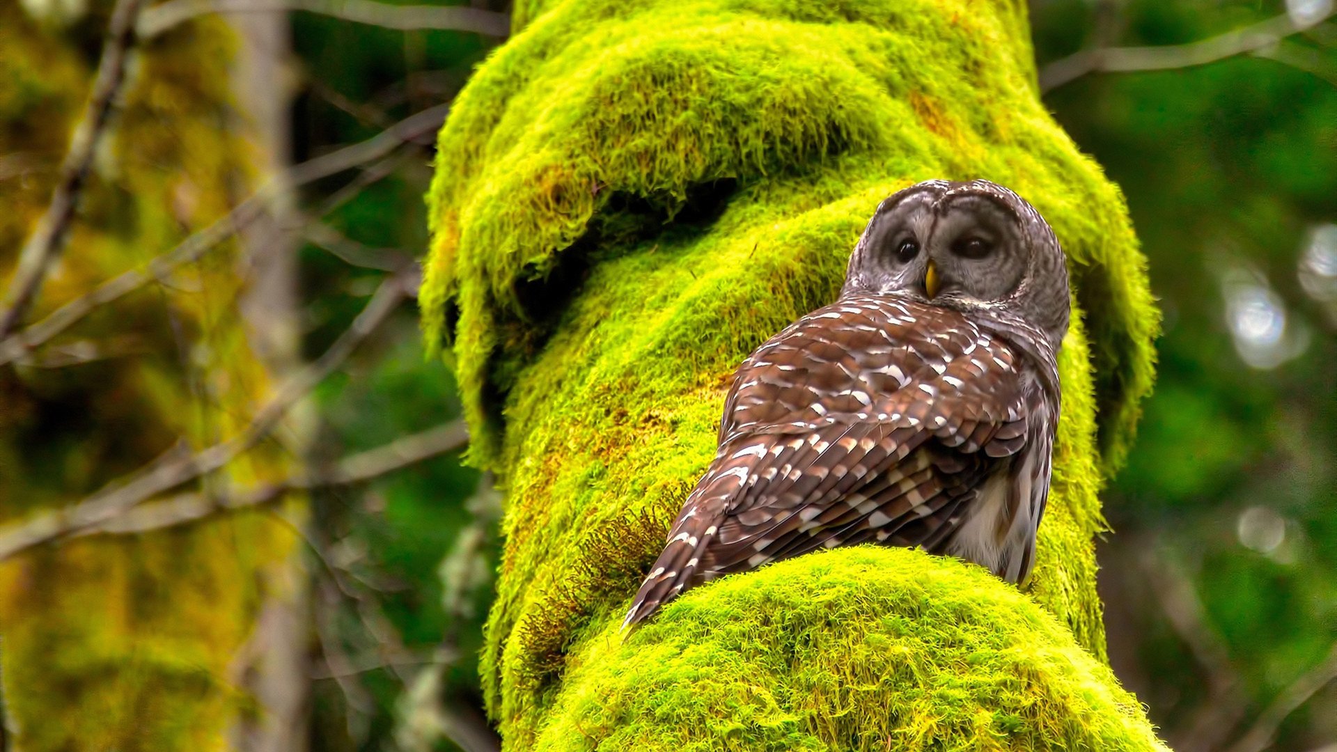 巴塞罗那客场大胜毕尔巴鄂保持不败势头,巴塞罗那对毕尔巴鄂竞技比分预测
