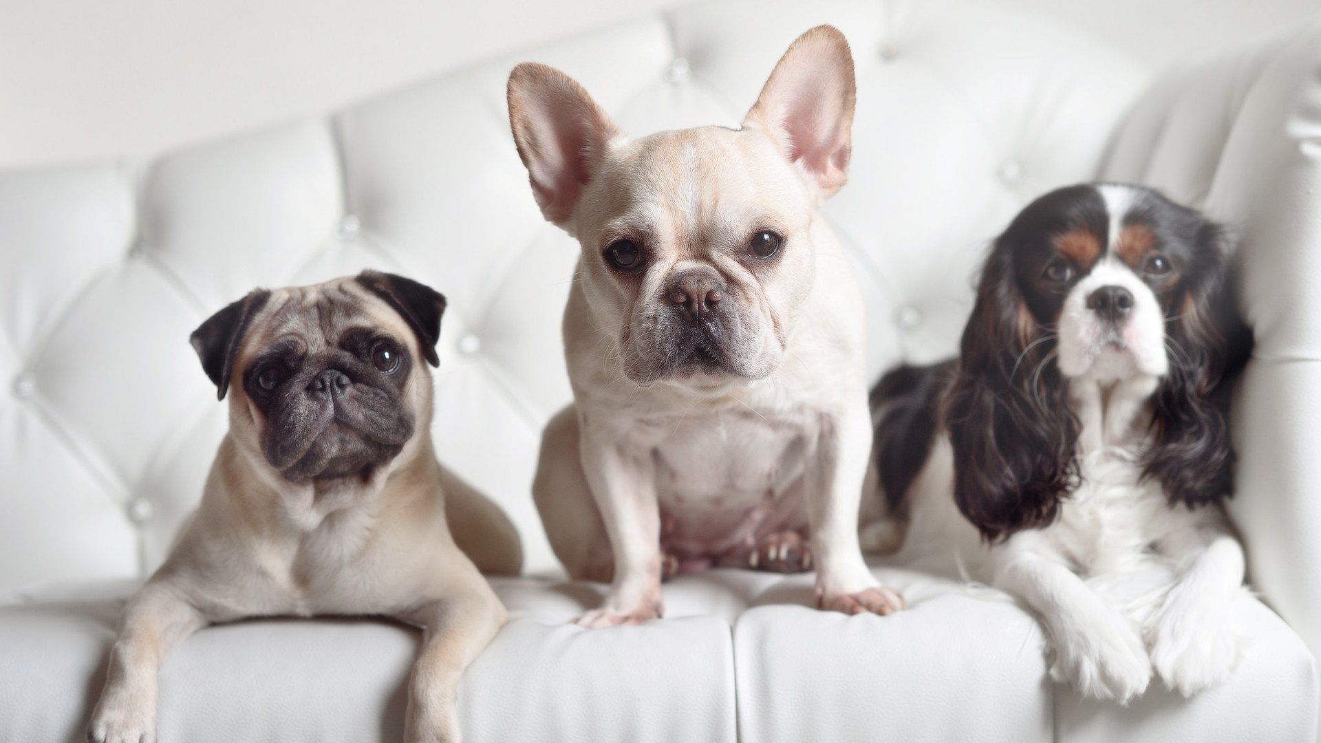 爱游戏下载-瑞典团队合作出色，夺得胜利，瑞典 组合