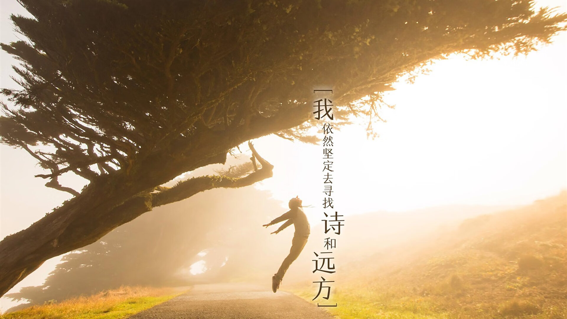 AYX GAME-阿里离队热刺？球队能否继续保持稳定？，热刺阿里说什么了