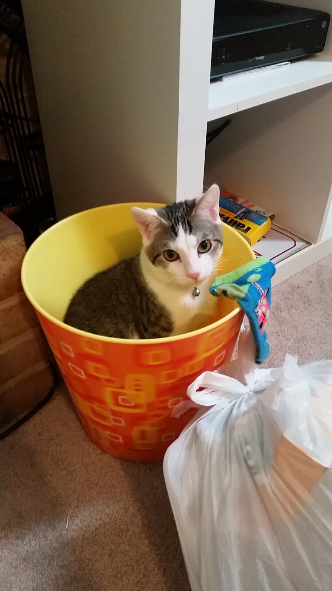 中国篮球职业联赛规则改革影响分析,中国篮球如何改革