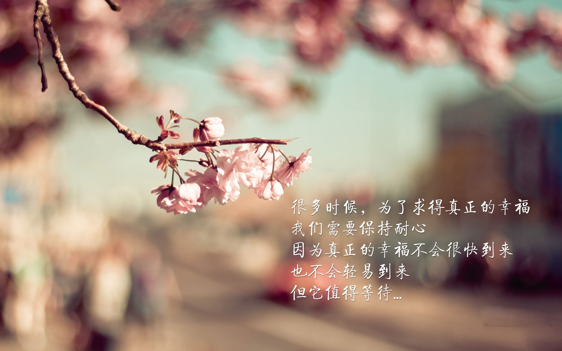 爱游戏app-“滑轮运动新风潮！成都赛场见证未来之星的崛起”