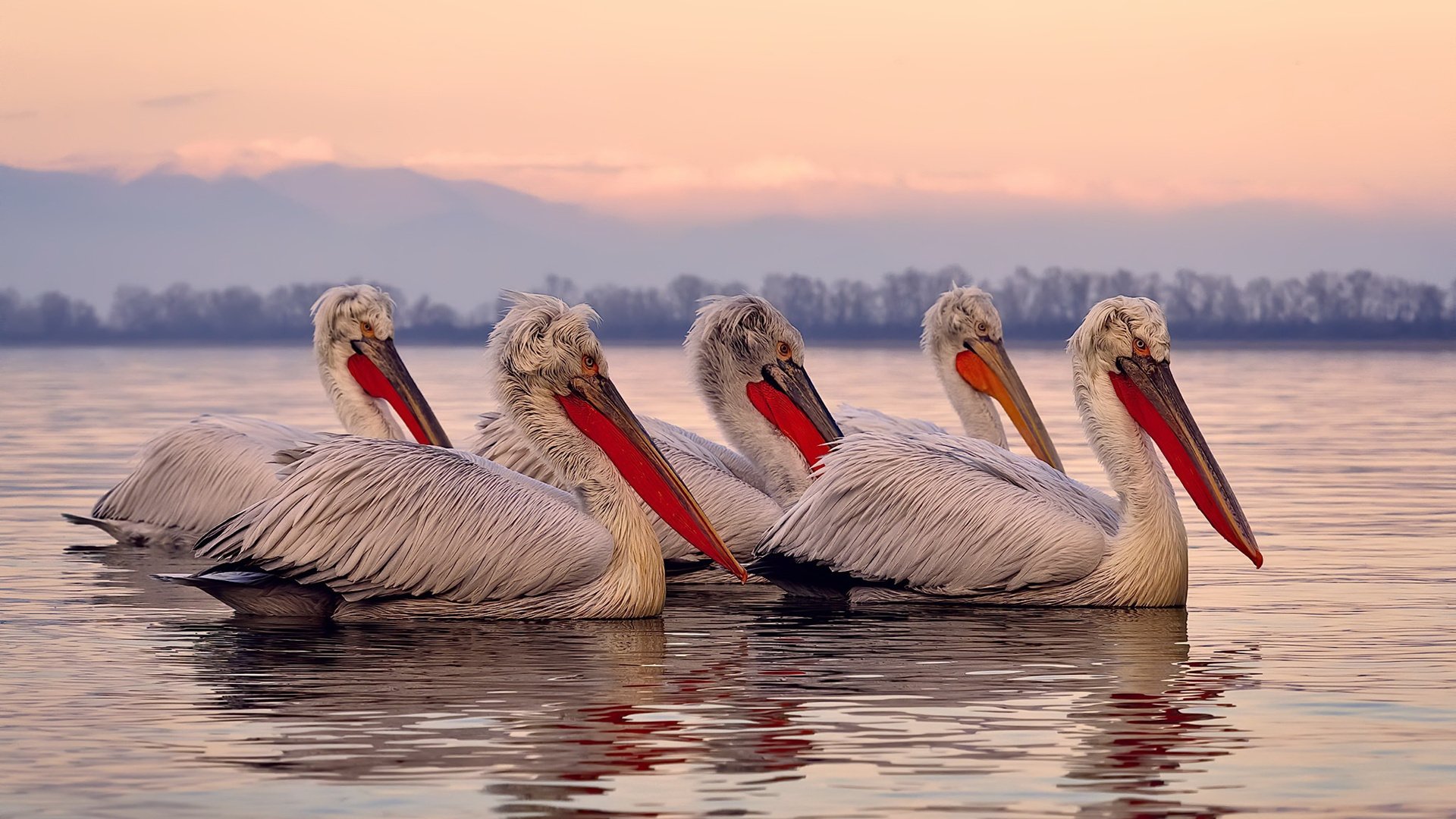 爱游戏娱乐平台-都灵持续进化防线保持零封纪录，都灵等级