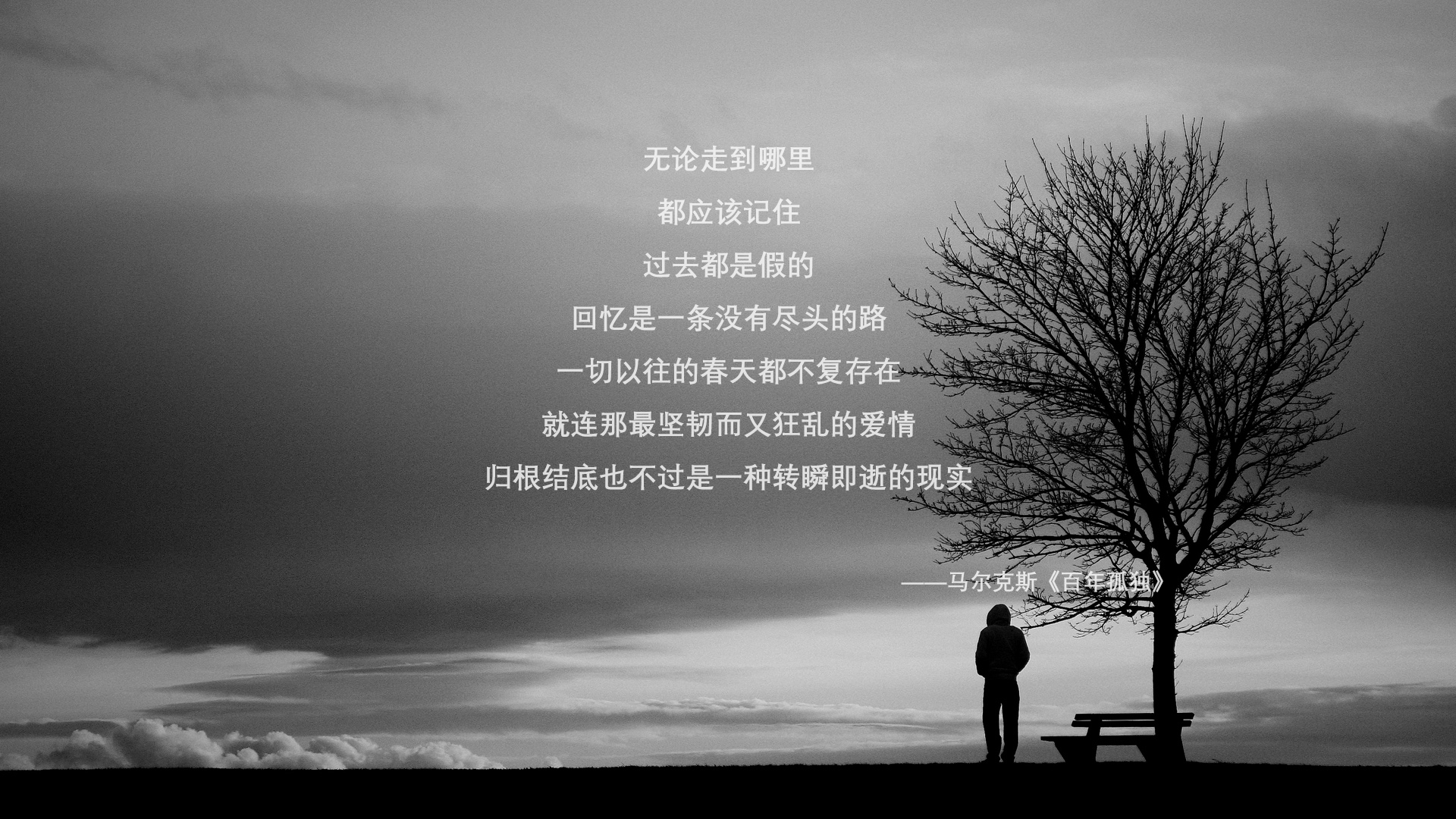 AYX SPORTS-巴黎圣日耳曼持续领跑法甲，争冠形势明朗