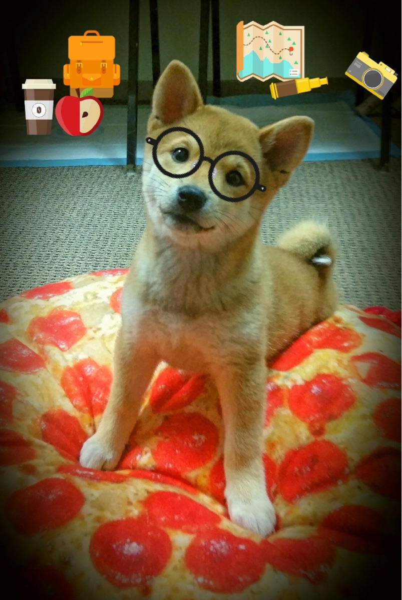 跳水动作精准突尼斯收获信心，小娃脸一边大一边小